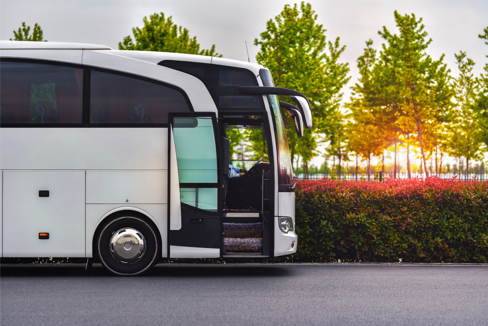 Bus rental is comfort and Convenience.