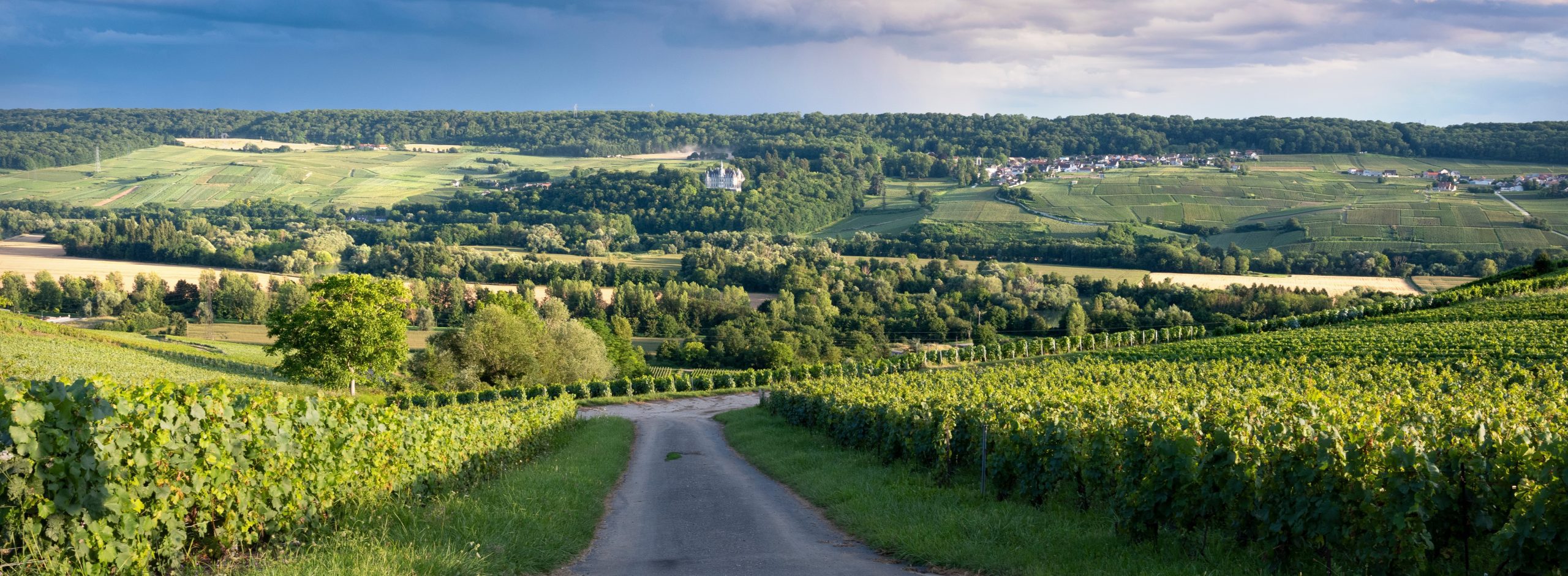 The ninth activity in the 10 best things to do in Belgium is hiking in the Ardennes