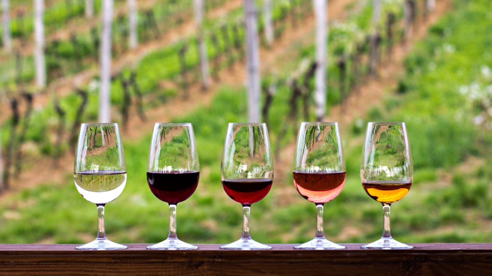 Go wine tasting - the seventh thing in the list of 10 best things to do in Portugal