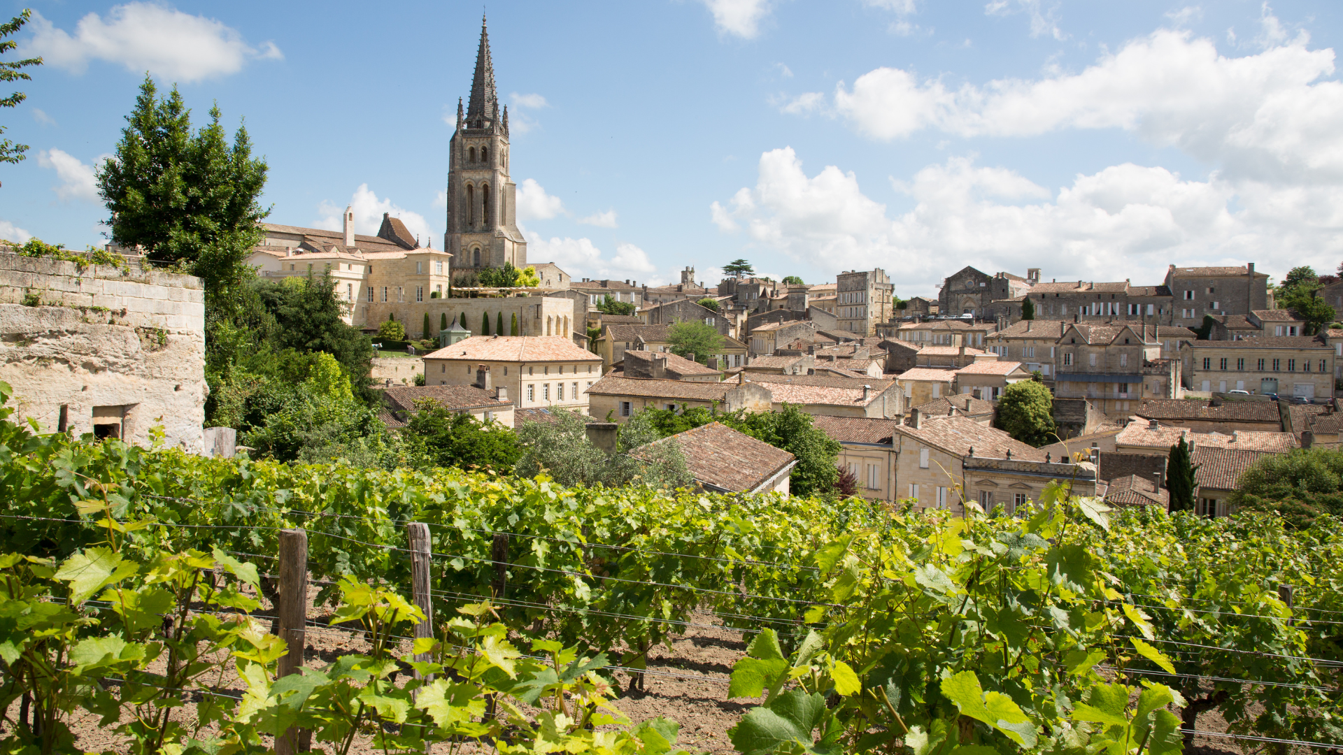 Enjoy wine in Bordeaux