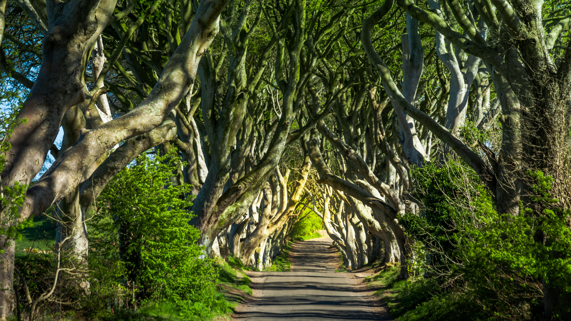 Embark on a Game of Thrones Tour