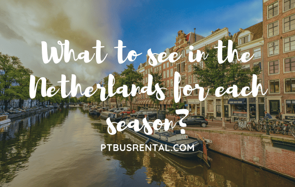 What to see in the Netherlands for each season?